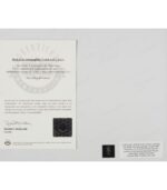 Mark Price Signed Autographed 8"x10" Photograph - Upper Deck AUTH, COA - Imagen 3